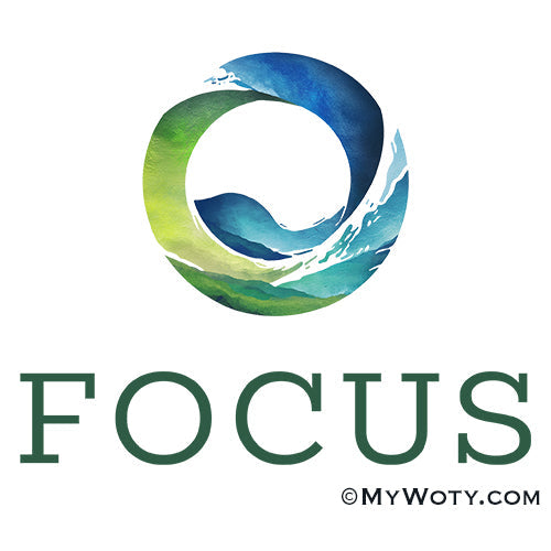 Focus